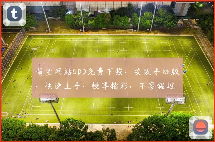 黄金网站app免费下载，安装手机版，快速上手，畅享精彩，不容错过，三步搞定